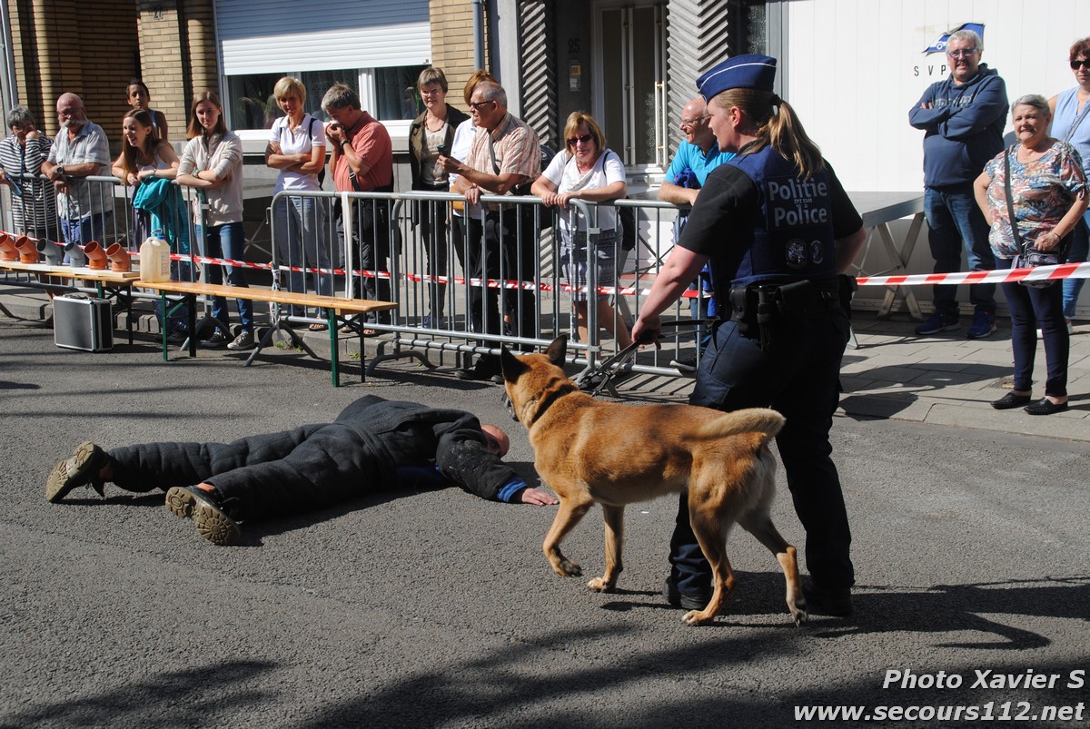 Démonstration de la Brigade canine lors de la Journée du chien à Jette (2/09/2018 + photos) Dsc_0225