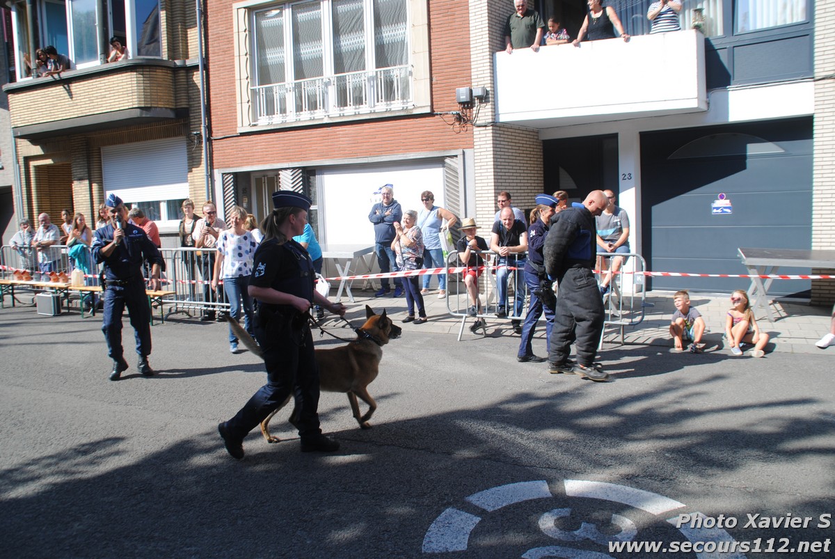 Démonstration de la Brigade canine lors de la Journée du chien à Jette (2/09/2018 + photos) Dsc_0226