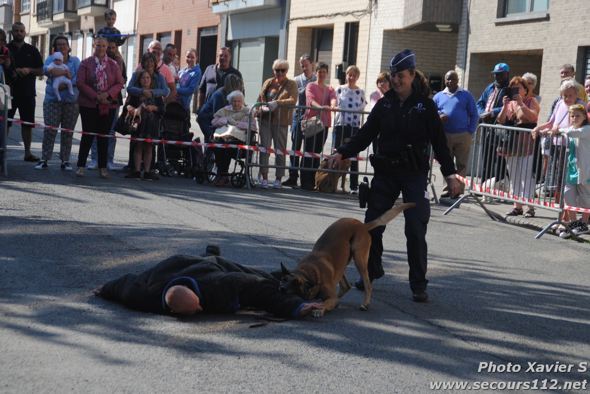 Démonstration de la Brigade canine lors de la Journée du chien à Jette (2/09/2018 + photos) Dsc_0232