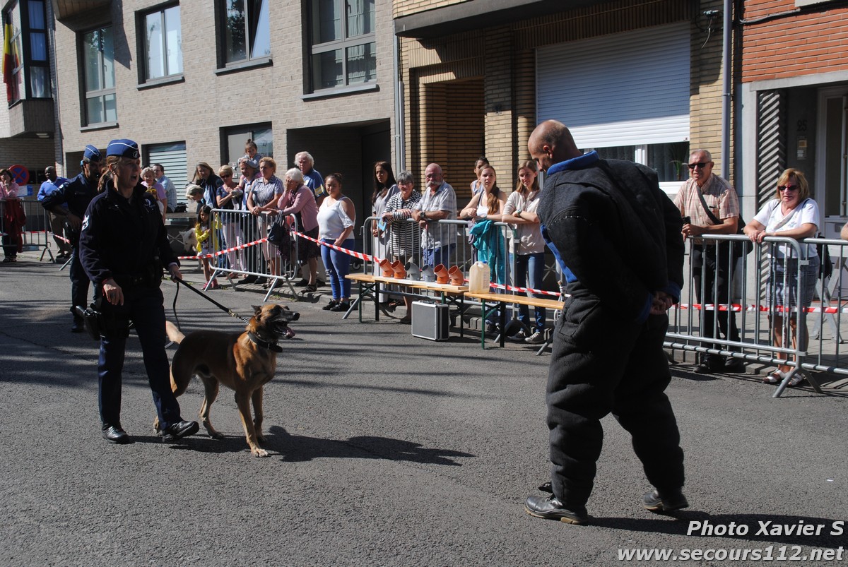 Démonstration de la Brigade canine lors de la Journée du chien à Jette (2/09/2018 + photos) Dsc_0235