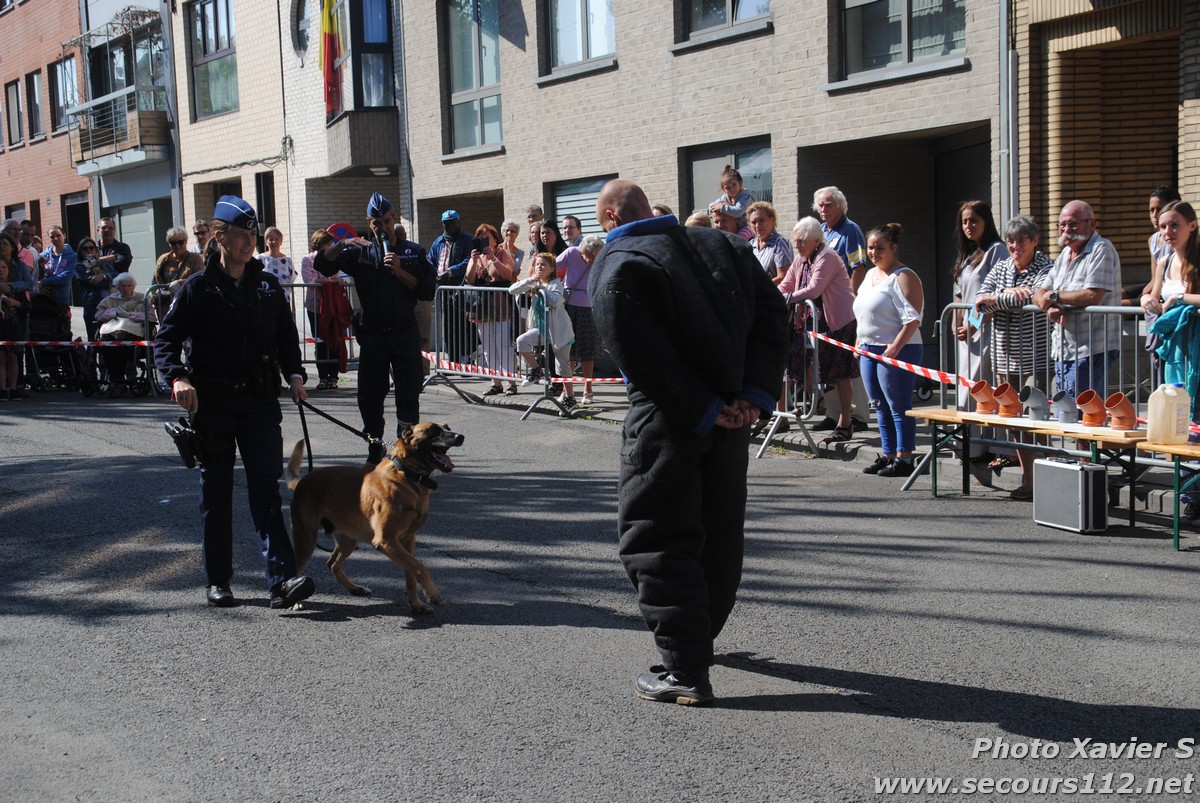 Démonstration de la Brigade canine lors de la Journée du chien à Jette (2/09/2018 + photos) Dsc_0236