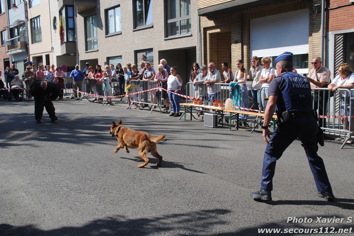 Démonstration de la Brigade canine lors de la Journée du chien à Jette (2/09/2018 + photos) Dsc_0239