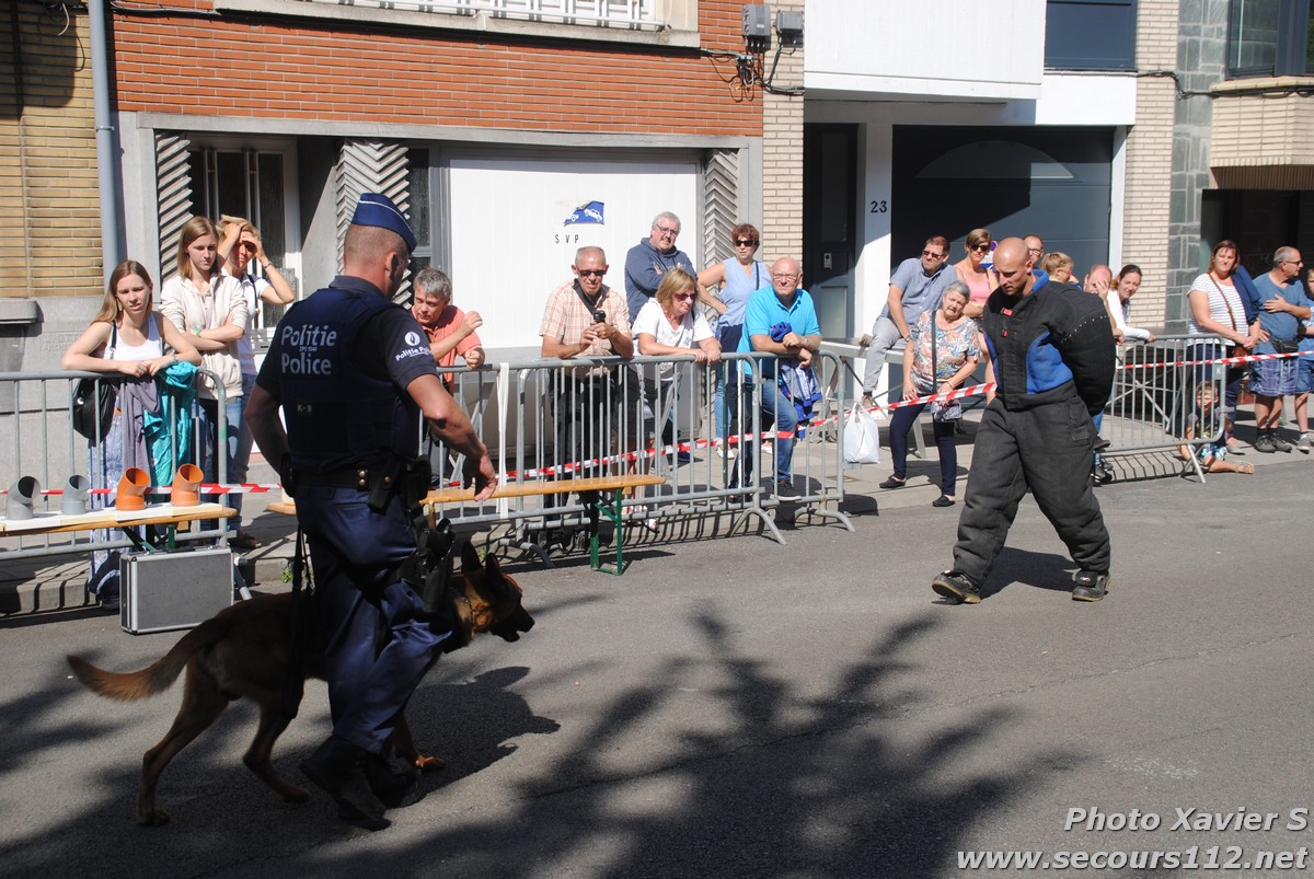 Démonstration de la Brigade canine lors de la Journée du chien à Jette (2/09/2018 + photos) Dsc_0318