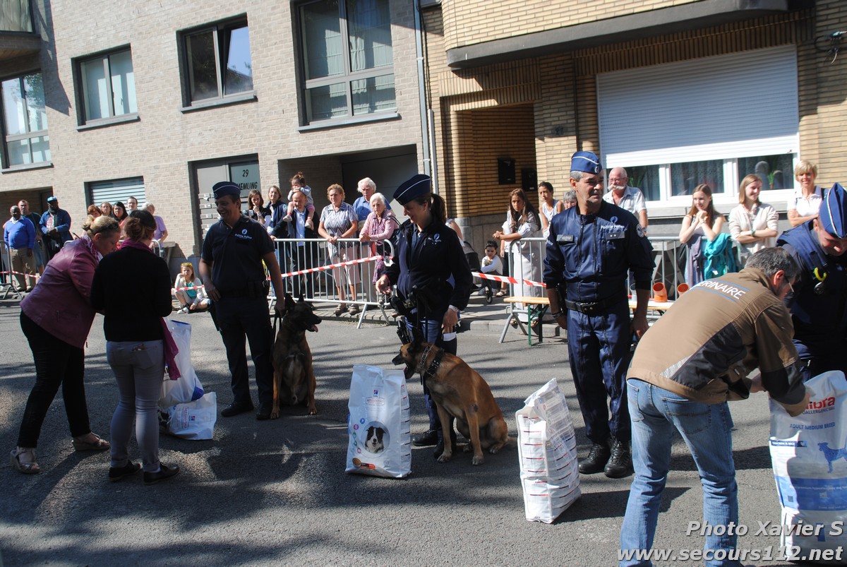 Démonstration de la Brigade canine lors de la Journée du chien à Jette (2/09/2018 + photos) Dsc_0320