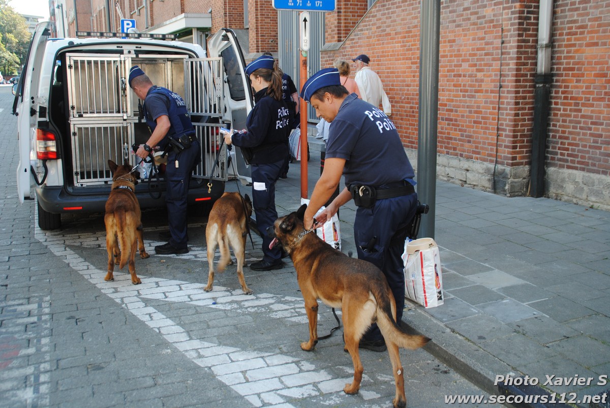 Démonstration de la Brigade canine lors de la Journée du chien à Jette (2/09/2018 + photos) Dsc_0324
