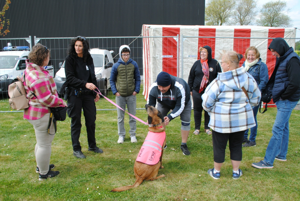 La zone de police Nivelles-Genappe accueille Uruz, chien médiateur + photos Dsc_1275