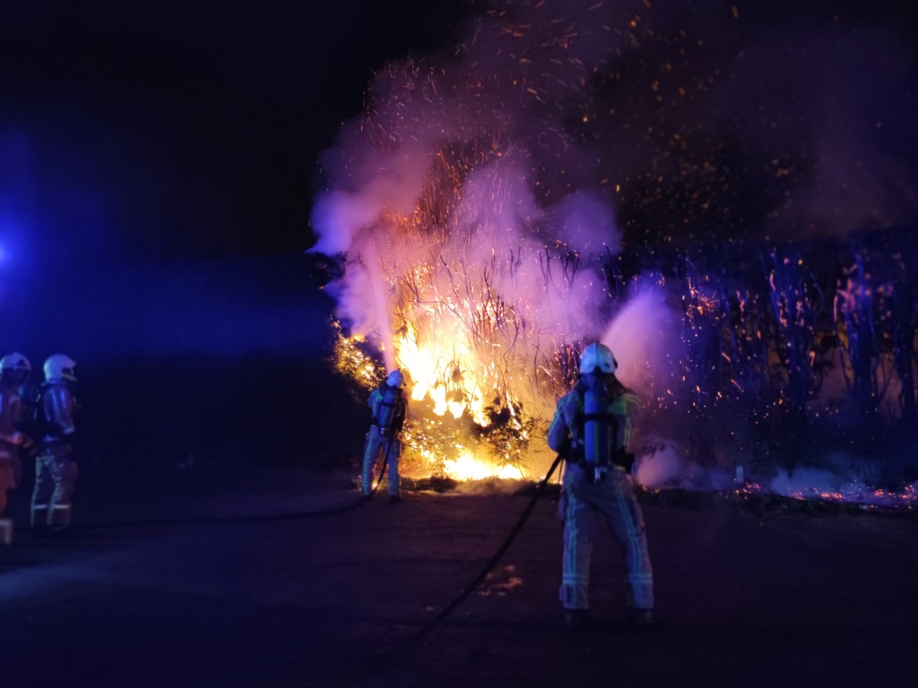Incendie à Farciennes: des sapins ont pris feu durant la nuit de mardi à mercredi (17-11-2021 + photos) Img_2613