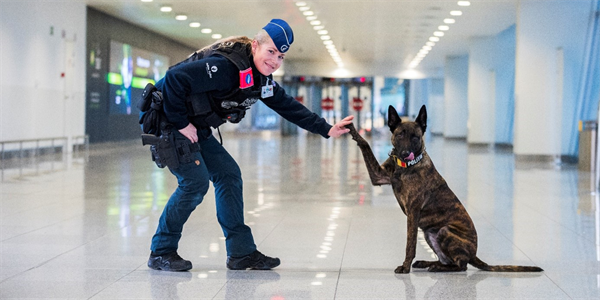 Les chiens détecteurs d’explosifs opérant dans les aéroports évalués par le centre de certification de la Police Fédérale Unname34