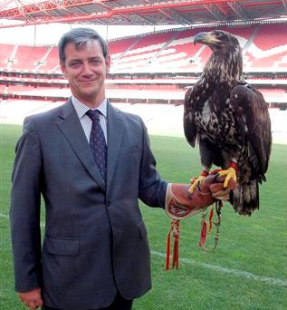 PETA pede 'reforma' para águia do Benfica: «Para quem gosta de