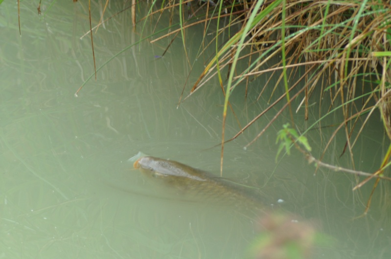 mes coins peche Photo_16