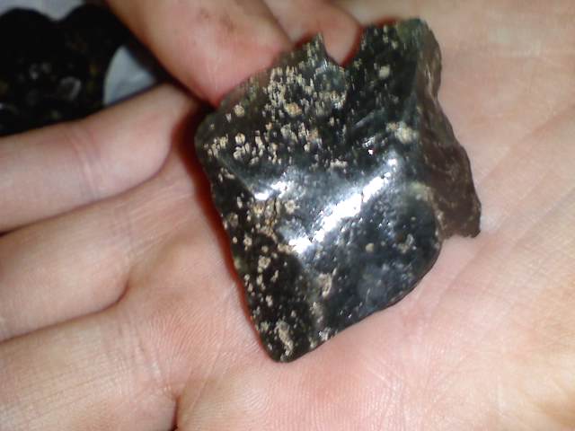 J'ai trouvé une sorte de "météorites" ... P1708012