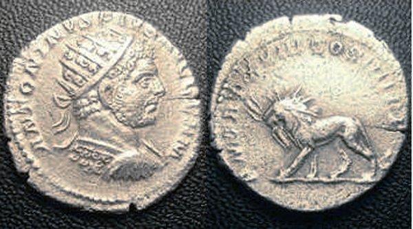 Ma modeste collection de monnaies romaines  - Page 2 42010