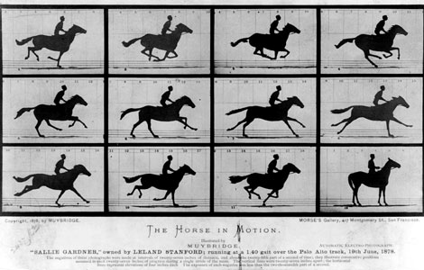 FOTOS ESPECTACULARES DE TODO EL MUNDO - Página 7 Horse-10