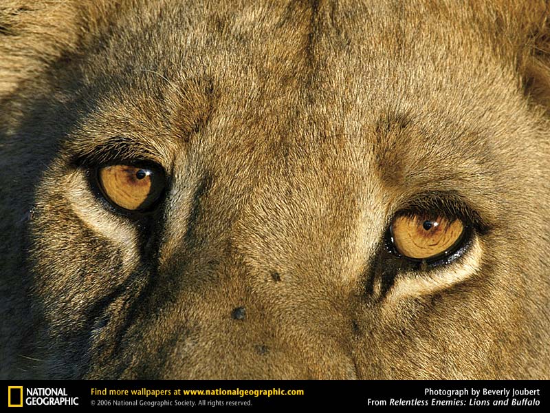 FOTOS ESPECTACULARES DE TODO EL MUNDO - Página 6 Relent10