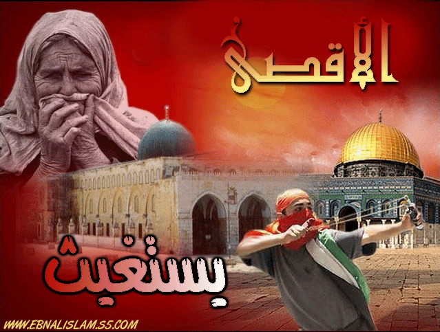   ѿ Aqsa10