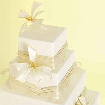 Wedding cakes 08052121