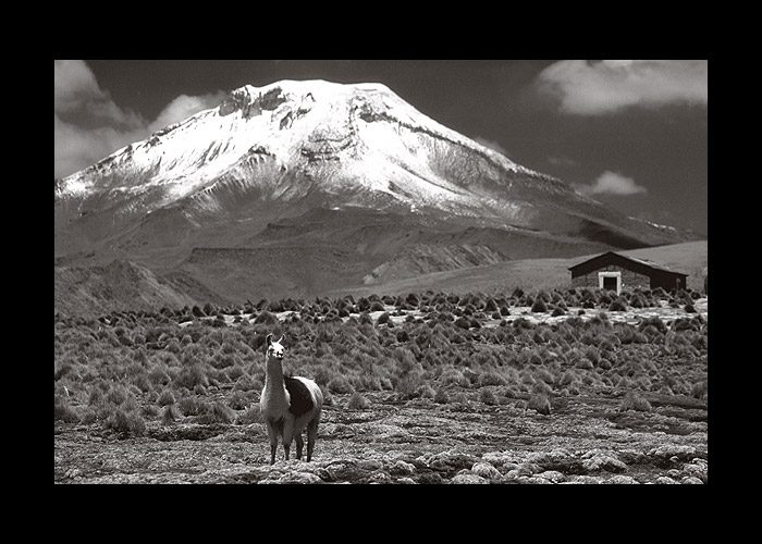 des photos noir et blanc raw3a raw3a Bolivi10