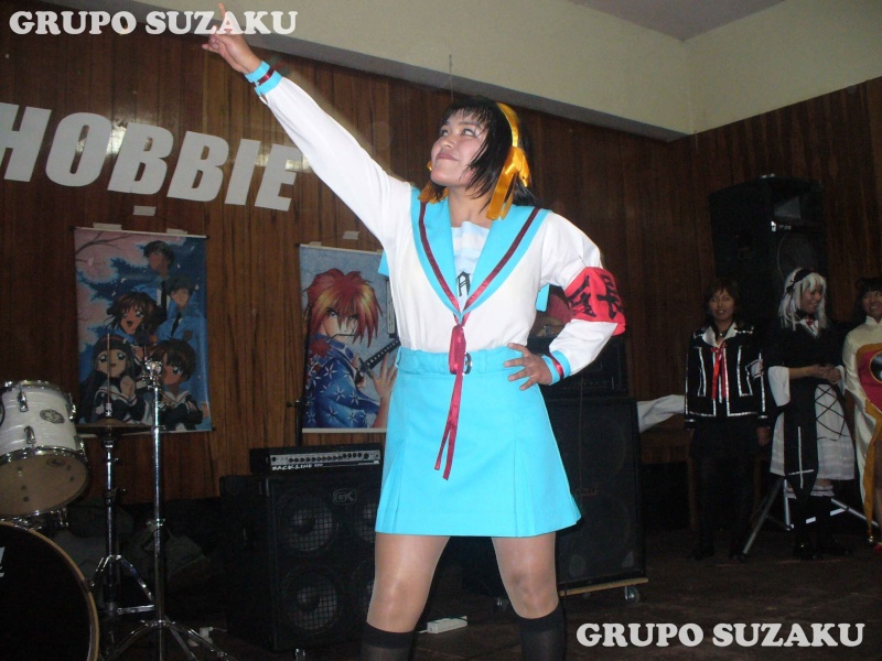 Fotos 3er Festihobbie - Grupo Suzaku - Página 2 P1020017