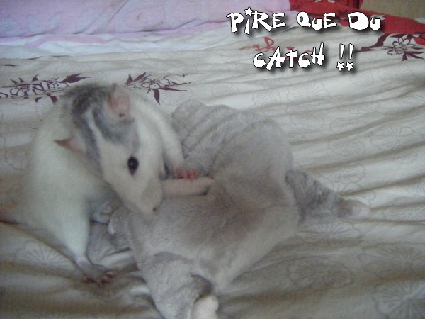 Mes filles VS rat en peluche XD 0410