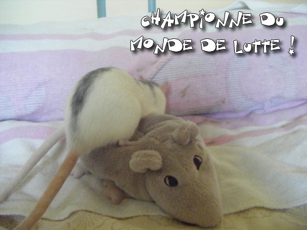 Mes filles VS rat en peluche XD 0510