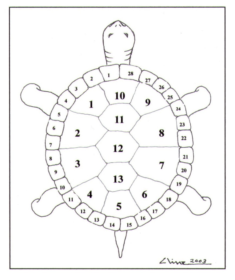 Thirteen Moons on a Turtle's Back 13moon10