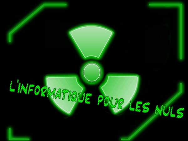 l'informatique pour les nuls