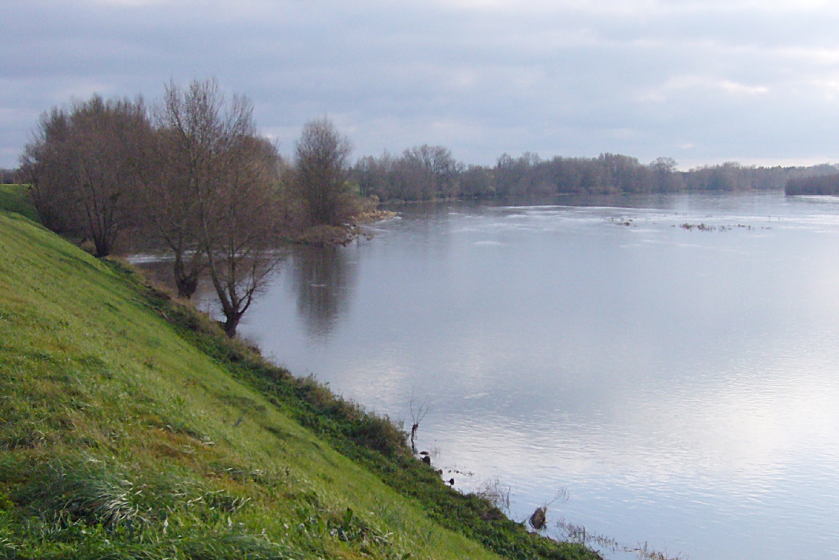 La Loire (ajouts) P1000010