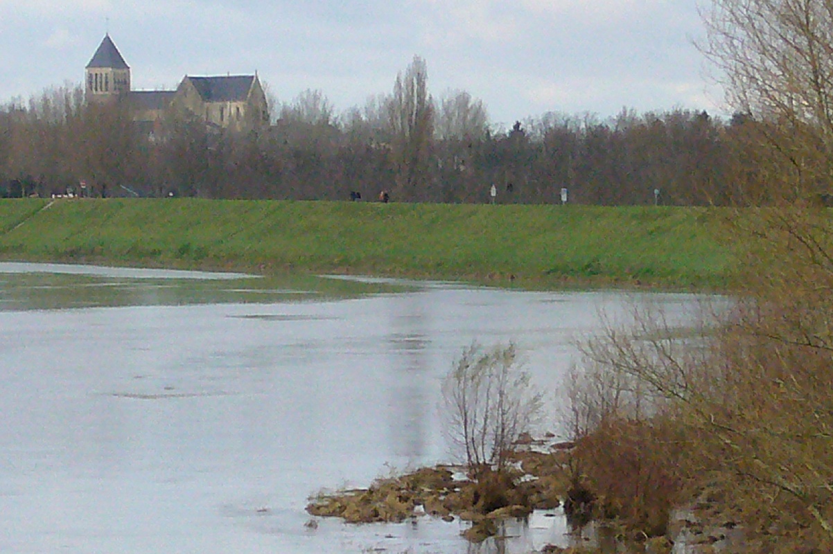 La Loire (ajouts) P1000015