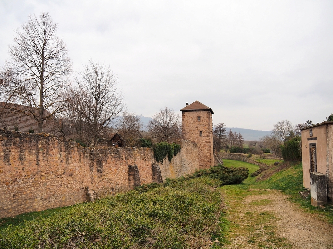 Le sentier des remparts P3053320