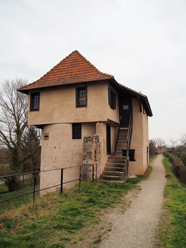 Le sentier des remparts P3053323