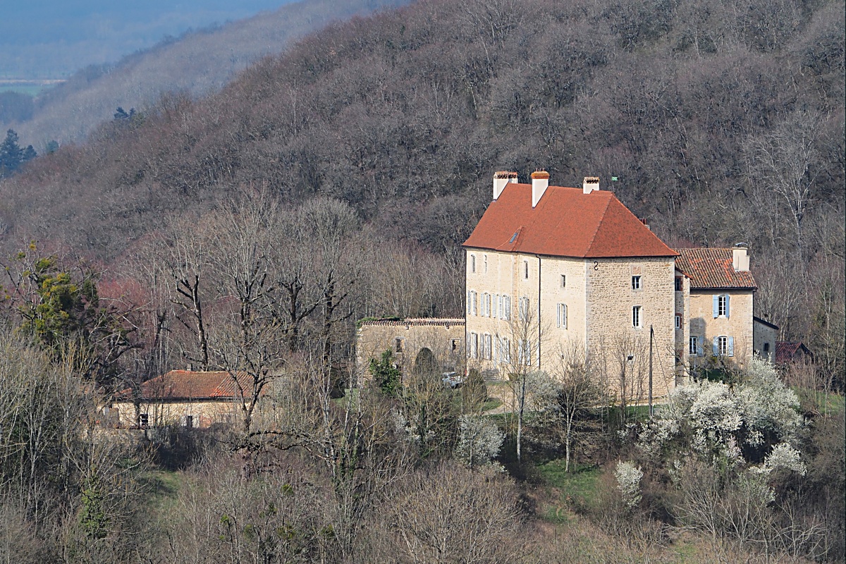 Le château de Pommier P3081911