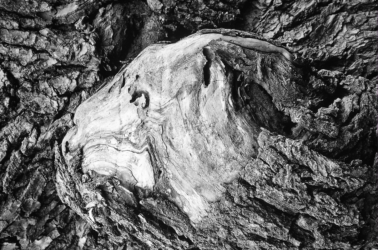 concours photo "LE MONDE A L'ENVERS" février 2023 Pc284511