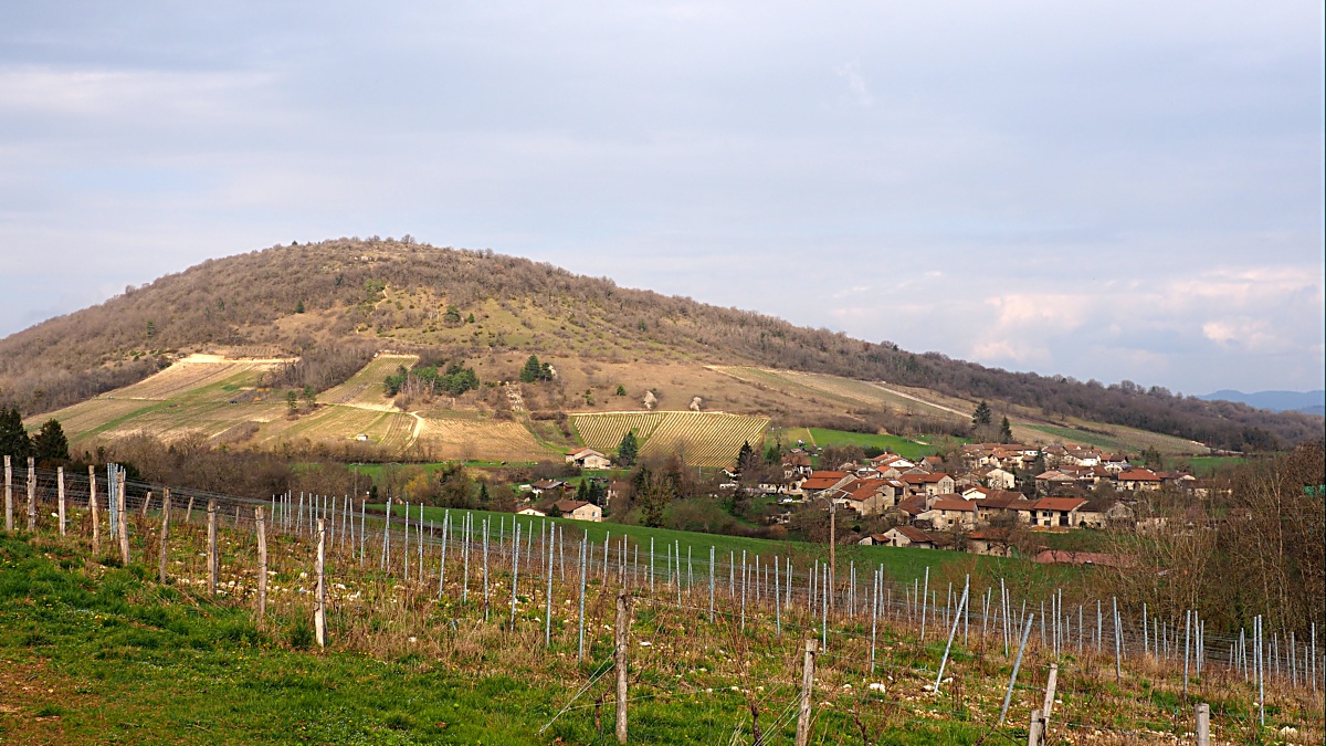 Villages viticoles (ajouts) Q3070410