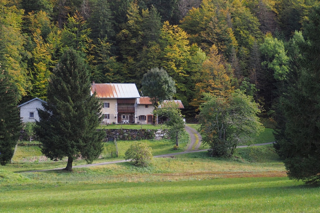 En suivant la route forestière Qa271310