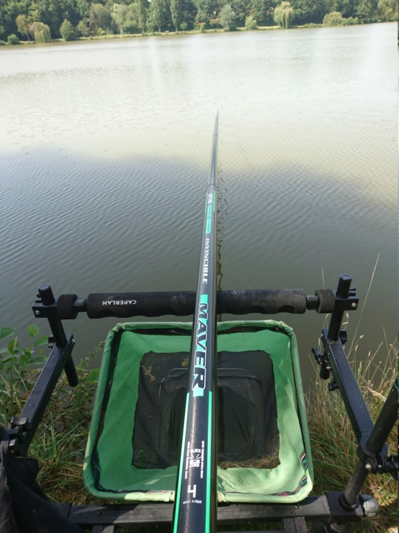 mon beau poisson... 2020-013