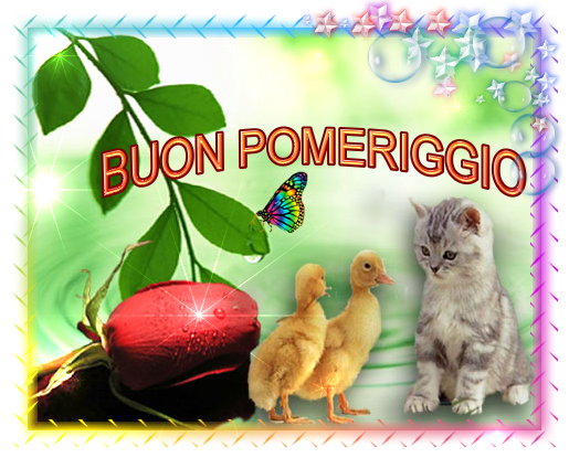 BUONGIORNO FORUM!!!!  Saluti lampo - Pagina 4 12345615