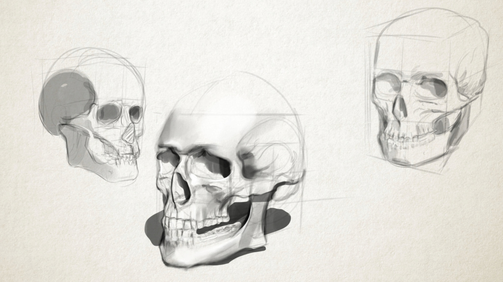 Sketchbook Gengis - Page 7 Skull_10