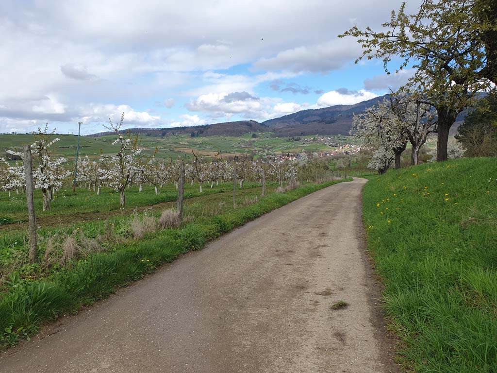 sortie de mardi 02/04 & 1erAudax interne décalé 110