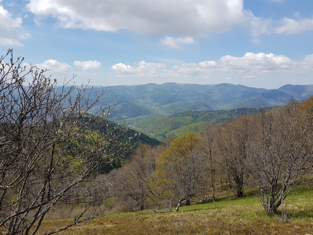 Sortie Markstein Grand Ballon 20210513