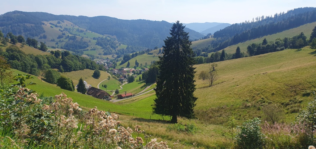 Sortie montagne samedi 31 août : Le Belchen 20240838