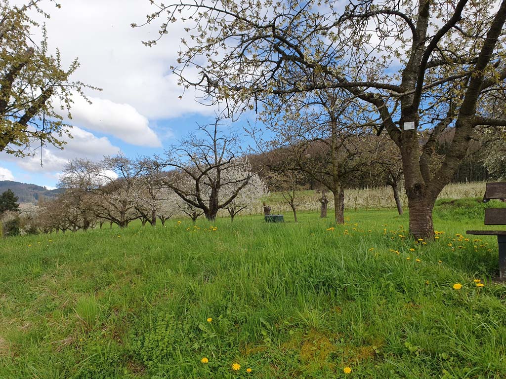 sortie de mardi 02/04 & 1erAudax interne décalé 210