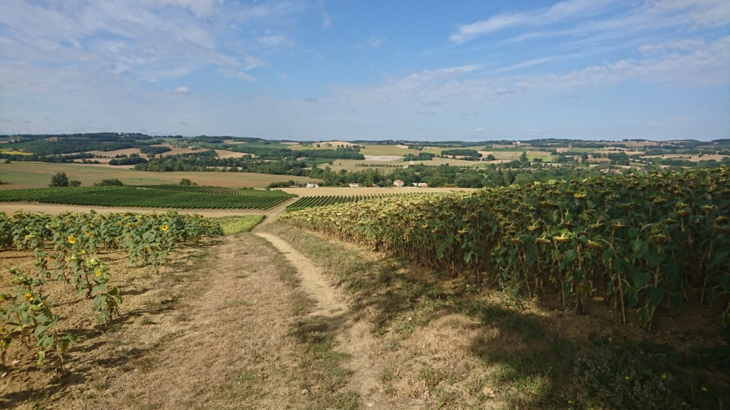 CR Sortie du 28 juillet 2022 (Route d'Artagnan) Au-des10