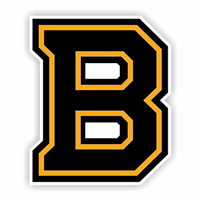 Boston Bruins OFF SEASON Bruins11