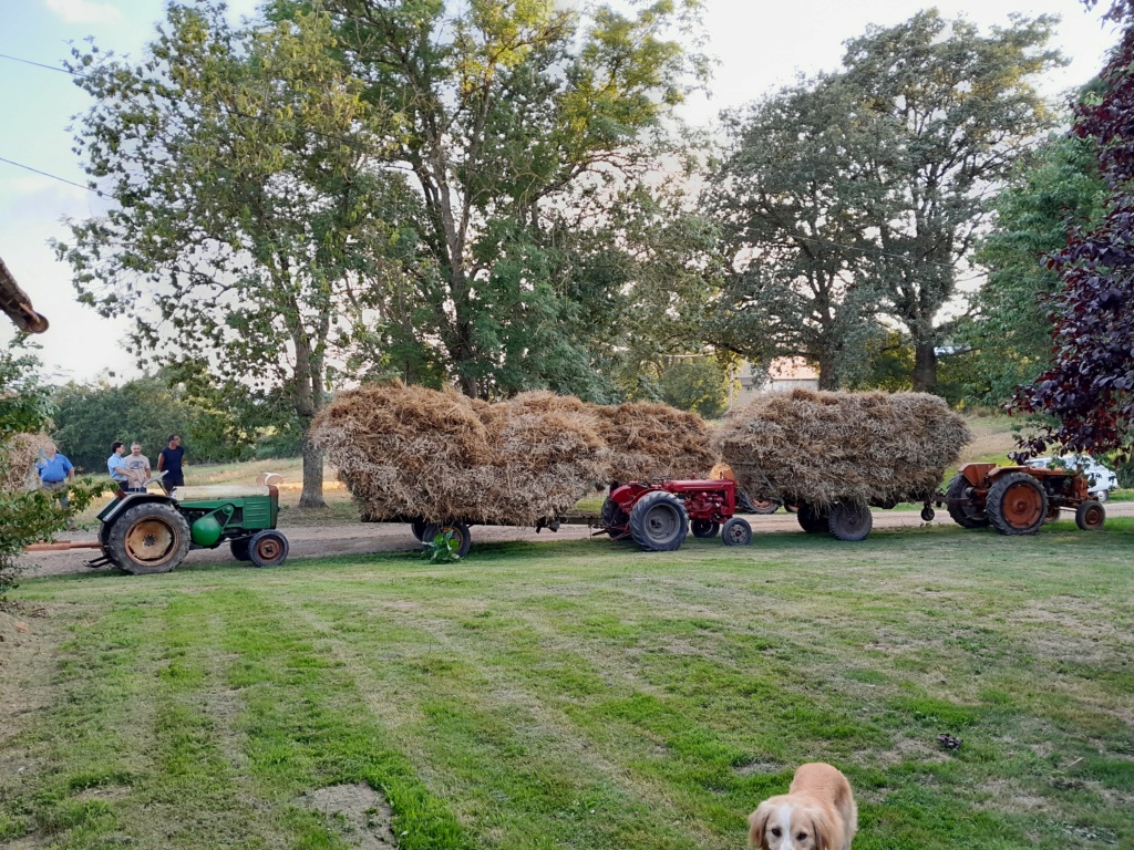 Les Tracteurs de Clem - Page 11 20230718