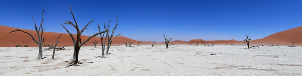 Namibie - Désert du Namib, Sossusvlei P1030312