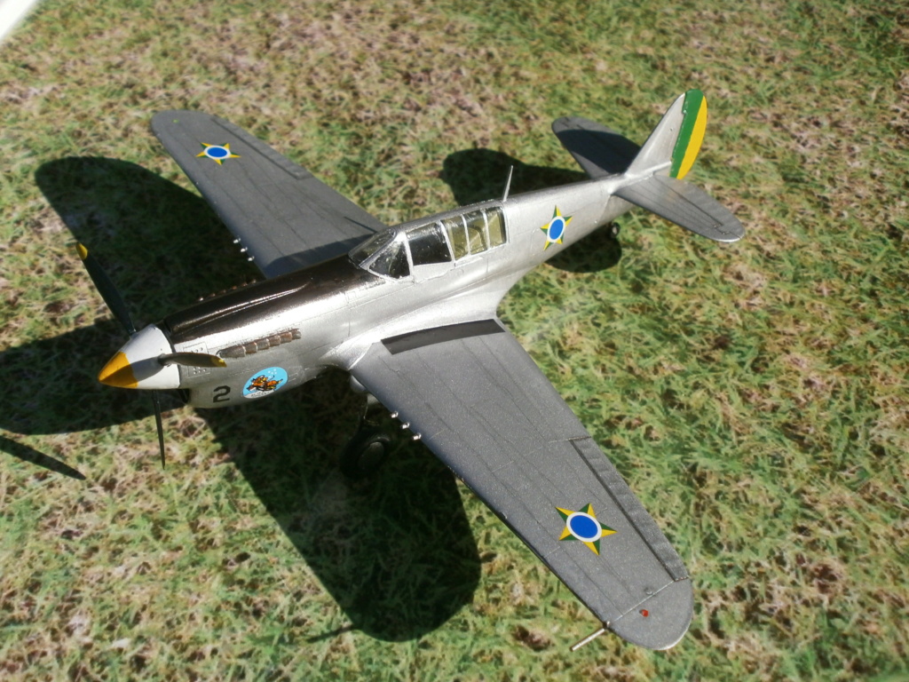 [Hasegawa] Curtiss P 40 N - Terminé 10228