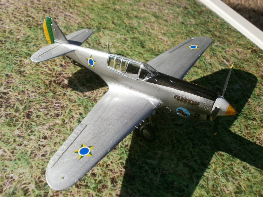 [Hasegawa] Curtiss P 40 N - Terminé 11223