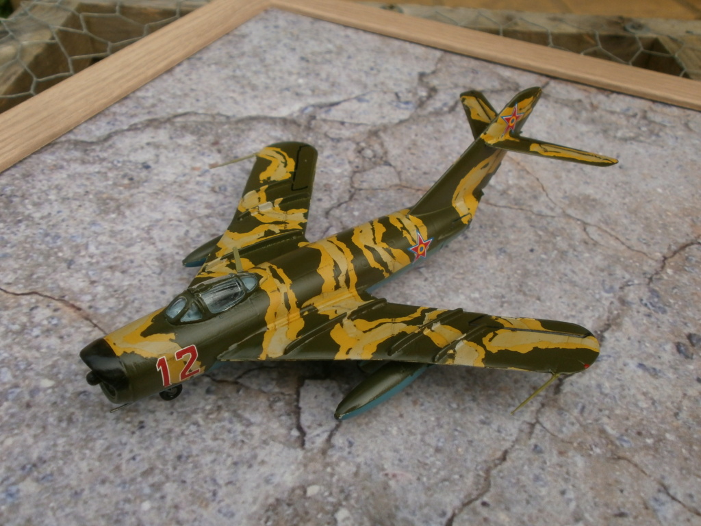 [Park Models] Mig 17 PF - Terminé 1356