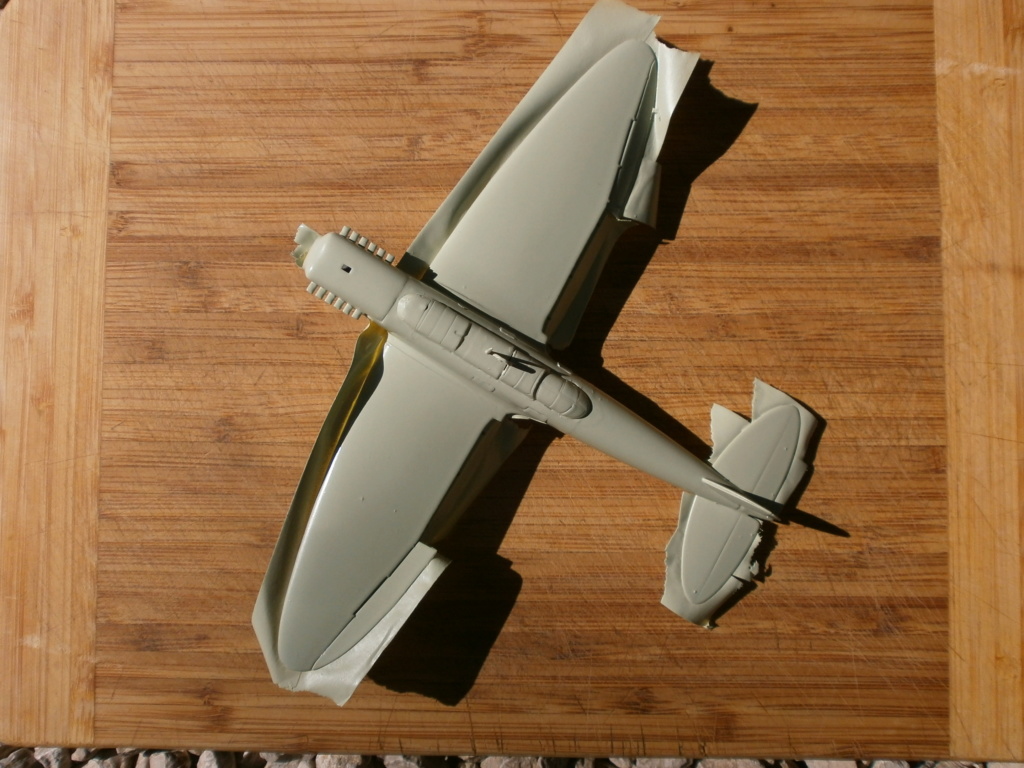 [Revell] Heinkel 70 F2 - Terminé 1422