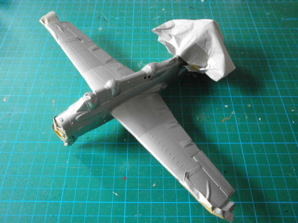 [Revell] Fairey Gannet T5 - Terminé 17122